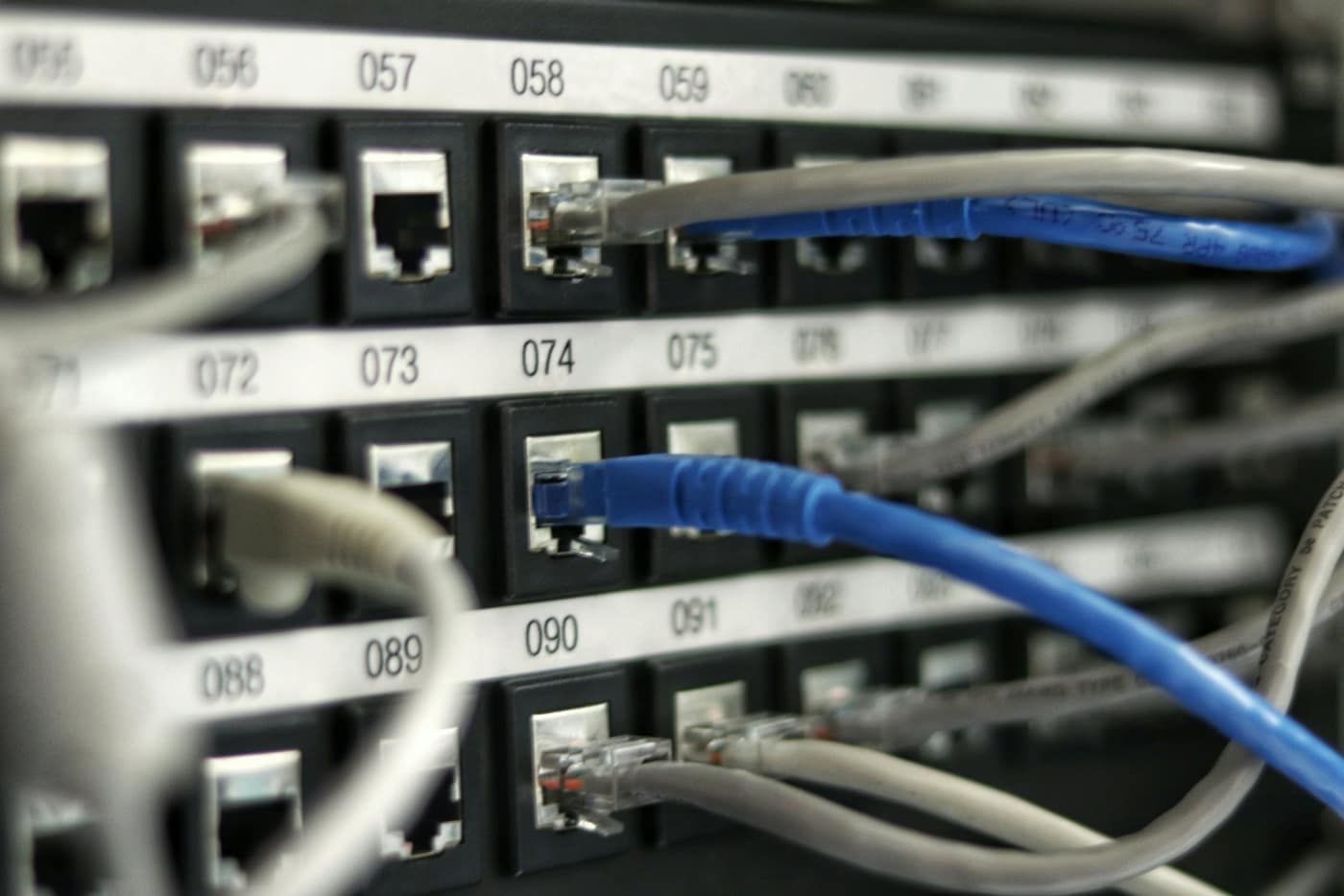 Panel krosowy z podłączonymi niebieskimi i szarymi przewodami sieciowymi